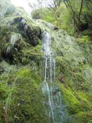 DSCN1700