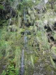 DSCN1702