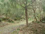 DSCN1708