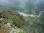 DSCN1709