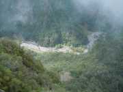 DSCN1710