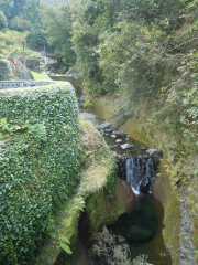 DSCN1716
