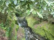DSCN1724