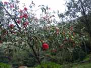 DSCN1725