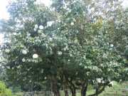 DSCN1727