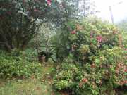 DSCN1728