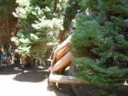 DSCN1742