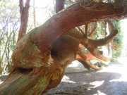 DSCN1743