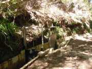 DSCN1744