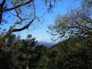 DSCN1745