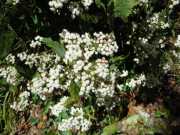 DSCN1746
