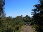 DSCN1749
