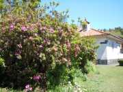 DSCN1751