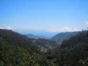 DSCN1753