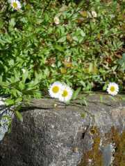 DSCN1764