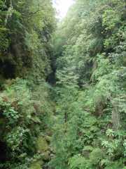 DSCN1884
