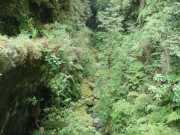 DSCN1885