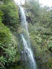 DSCN1889