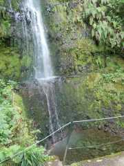 DSCN1890