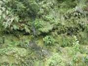 DSCN1891