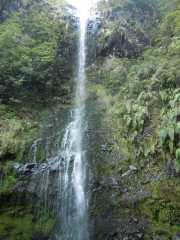 DSCN1892