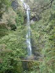 DSCN1894