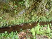 DSCN1895