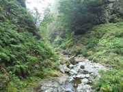 DSCN1901