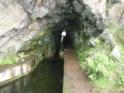 DSCN1905