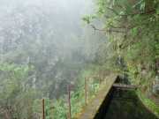 DSCN1906