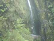DSCN1908