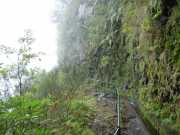 DSCN1911