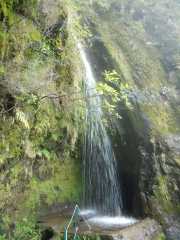 DSCN1912