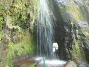 DSCN1913