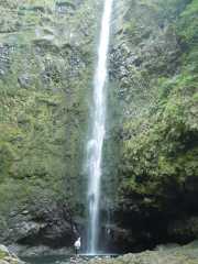 DSCN1919