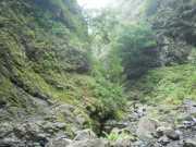 DSCN1923