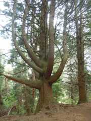 DSCN1928