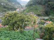 DSCN1934
