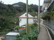 DSCN1935