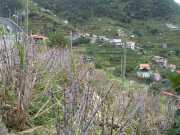 DSCN1938