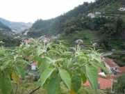 DSCN1940