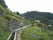 DSCN1949