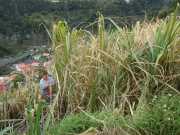 DSCN1951