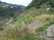 DSCN1952
