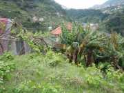DSCN1955