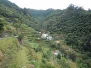 DSCN1956