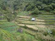 DSCN1961