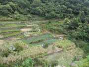 DSCN1962