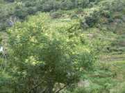 DSCN1970