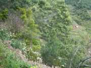 DSCN1975